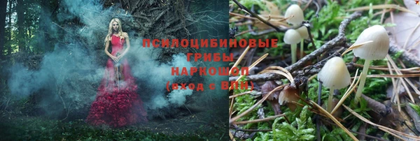ALPHA PVP Михайлов