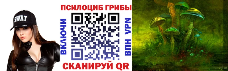 Псилоцибиновые грибы мицелий  Зима 