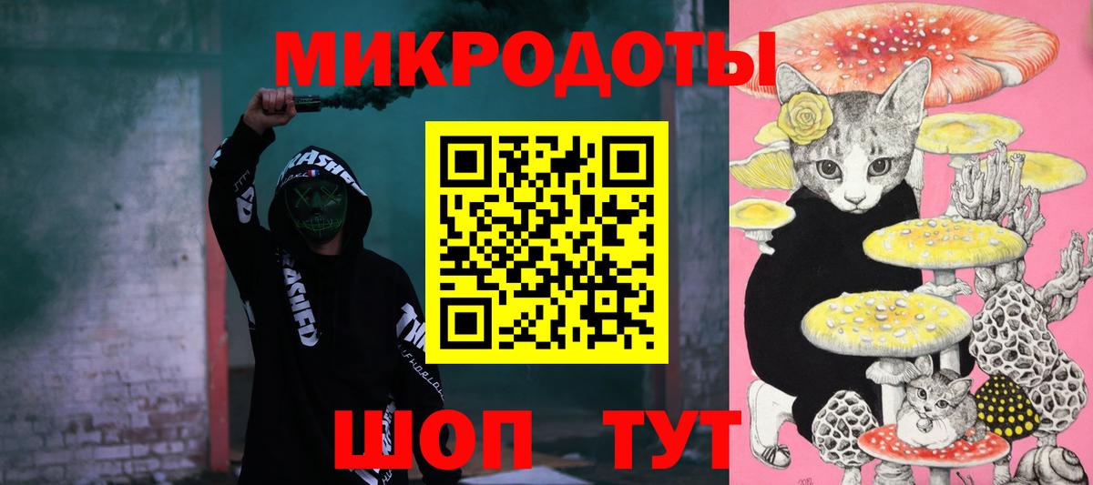 Галлюциногенные грибы Psilocybine cubensis Зима