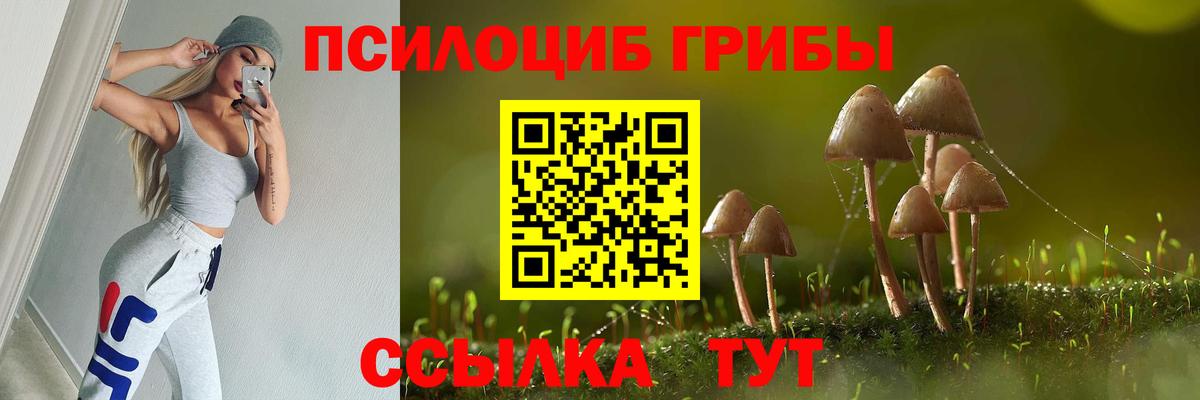 Галлюциногенные грибы мицелий  Вход с VPN  Галлюциногенные грибы GOLDEN TEACHER  Зима 